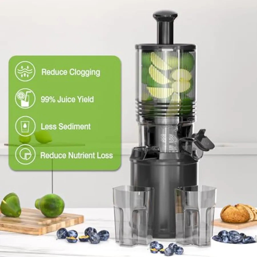 Cold Press Juicer 6.5 Extra Large Feed Chute Fit Hands-Free Electric Masticating Juicer Machine 350W Slow Masticating Juicer Ma